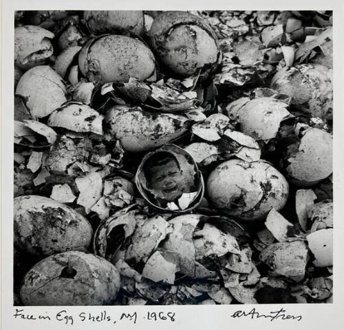 Face in Eggshells, NY

