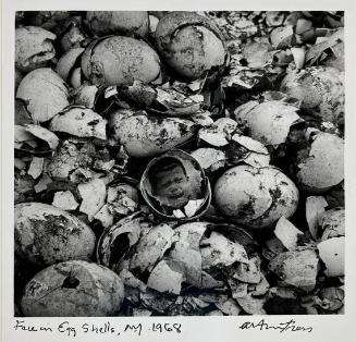 Face in Eggshells, NY
