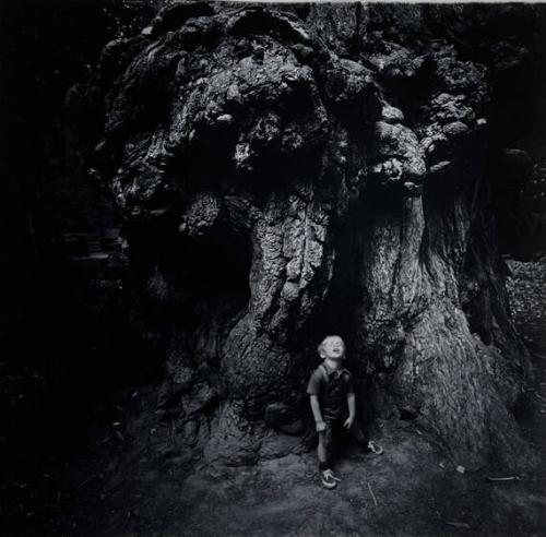 Boy Under Redwood, Santa Cruz, CA
