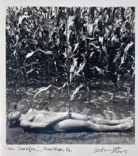 Corn Sacrifice, New Hope PA
