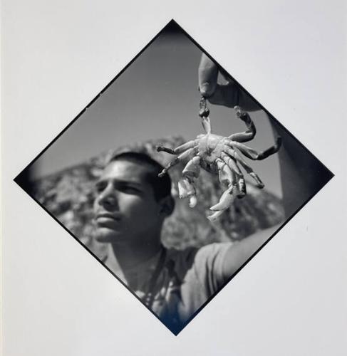 Untitled