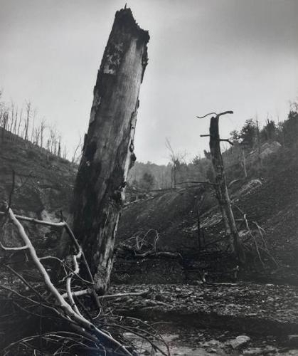 Stripmined Land, Pikesville, KY