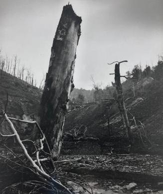 Stripmined Land, Pikesville, KY