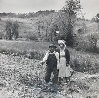 Mr. and Mrs. J Briggs in Their Corn Field, Marshall, NC