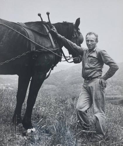 Farmer and Mule, Banner Elk, NC