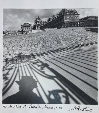 Shadow King at Versailles, France
