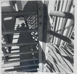 Shadow in Turnstyle
