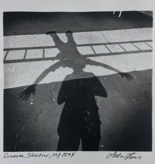 Siamese Shadow, NY
