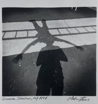 Siamese Shadow, NY
