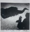 Shadow Clown and Big Bird, NY

