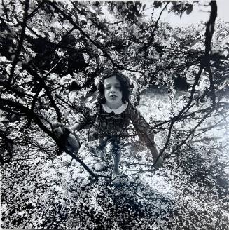 Girl in Cherry Tree, NY
