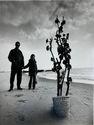 Beach Plant, Coney Island, NY
