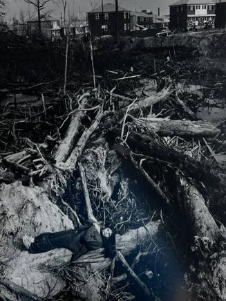 Girl on Fallen Tree Trunks, SI NY
