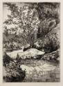 Trout Pool