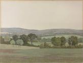 Summer Landscape