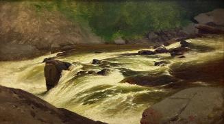 The Rapids