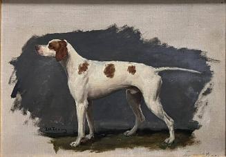 Dog Study