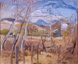 Sycamores and House Mountain