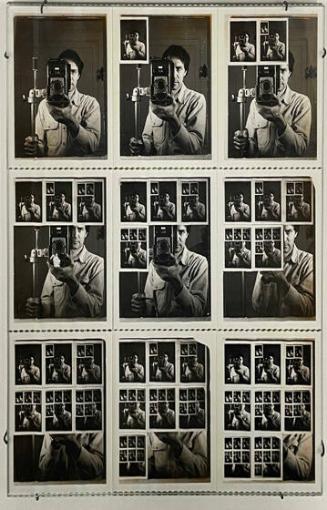 Nine Polaroid Photographs of a Mirror