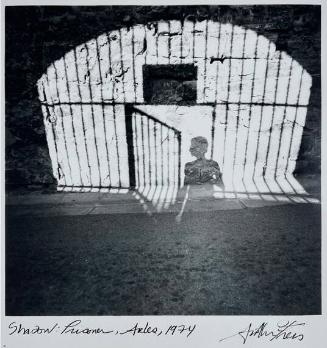 Shadow: Prisoner, Arles
