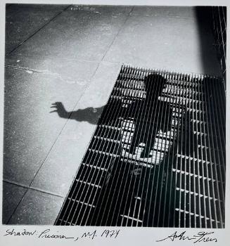 Shadow: Prisoner, NY
