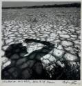 Shadow on Mud Flats, Arles, France
