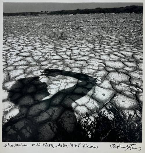 Shadow on Mud Flats, Arles, France
