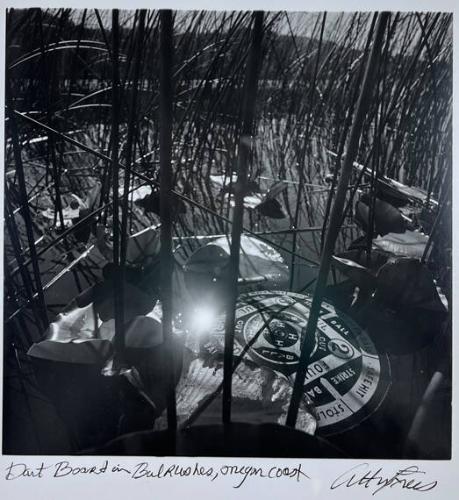 Dart Board in Bulrushes, Oregon Coast
