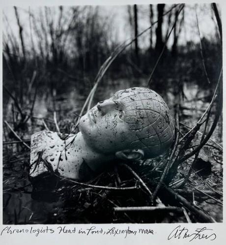 Phrenologist's Head in Pond, Lexington Mass
