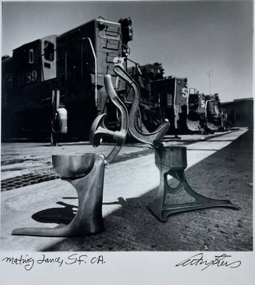 Mating Dance, SF, CA
