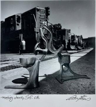 Mating Dance, SF, CA
