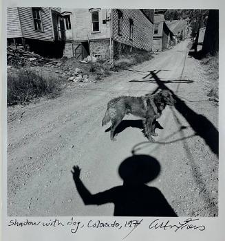 Shadow with Dog, Colorado
