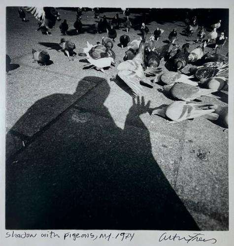 Shadow with Pigeons, NY
