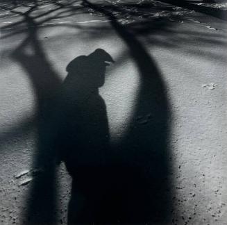 Shadow as Bird Demon, NY

