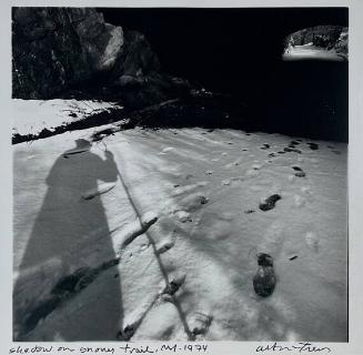 Shadow on Snowy Trail, NY
