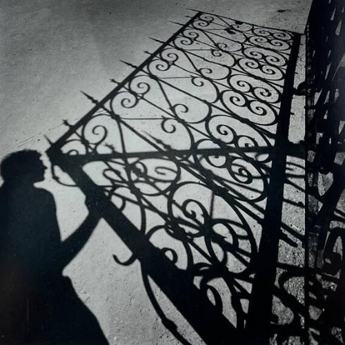 Shadow with Ornamental Gate, NY
