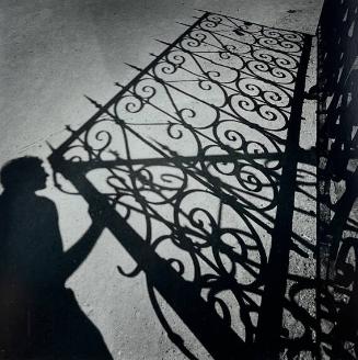 Shadow with Ornamental Gate, NY
