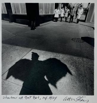 Shadow as Bat Bird, NY
