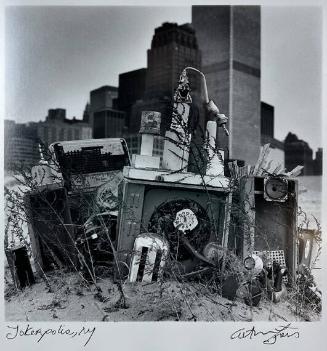 Jokerpolis, NY
