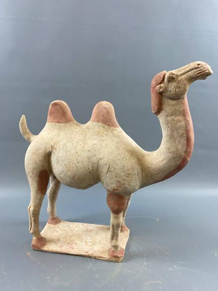 Pottery Bactrian Camel