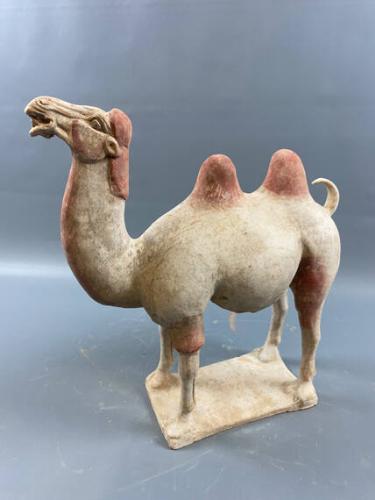 Pottery Bactrian Camel