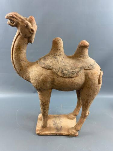 Pottery Bactrian Camel
