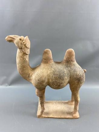 Pottery Bactrian Camel
