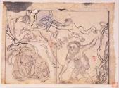 Study of Monkeys