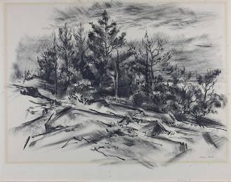 The Lookout