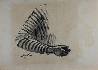 untitled (Study of an Arm)