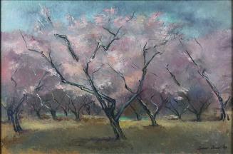 Peach Trees