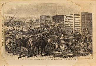 Kasnas-Transport of Texas Beef on the Kansas-Pacific Railway - Scene at a Cattleshoot in Abilene, Kansas 1871
published by Frank Leslie's Illustrated Newspaper, August 19, 1871