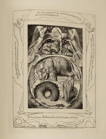 Frontispiece (From "The Book Of Job")