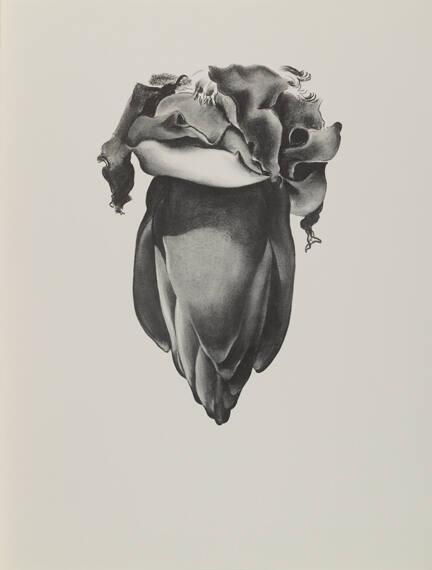 VIII Banana Flower. 1933
